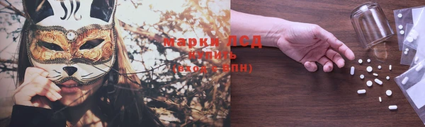 ГАЛЛЮЦИНОГЕННЫЕ ГРИБЫ Вязьма