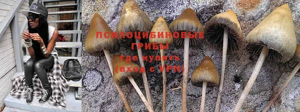 ГАЛЛЮЦИНОГЕННЫЕ ГРИБЫ Вязьма