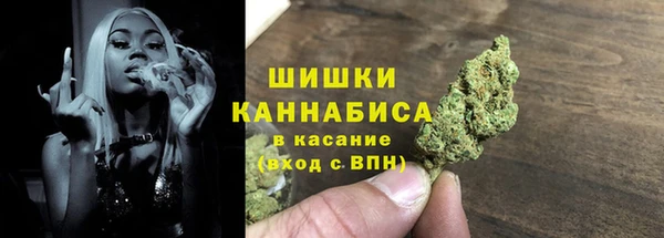 ГАЛЛЮЦИНОГЕННЫЕ ГРИБЫ Вязьма