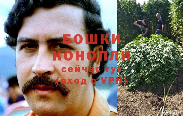 ГАЛЛЮЦИНОГЕННЫЕ ГРИБЫ Вязьма