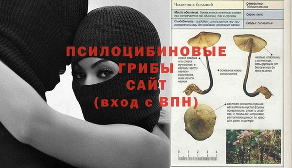 ГАЛЛЮЦИНОГЕННЫЕ ГРИБЫ Вязьма